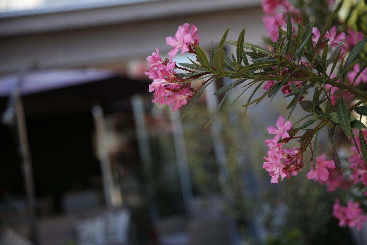 Guest House Lorenta Vodice Esterno foto
