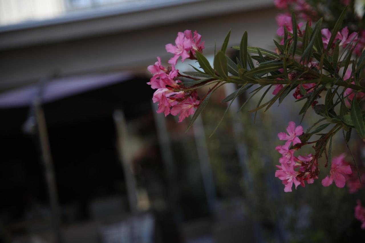 Guest House Lorenta Vodice Esterno foto